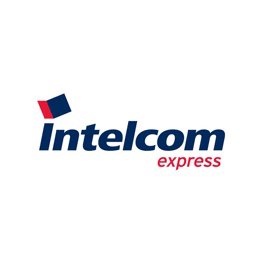 Dragonfly / Intelcom logo