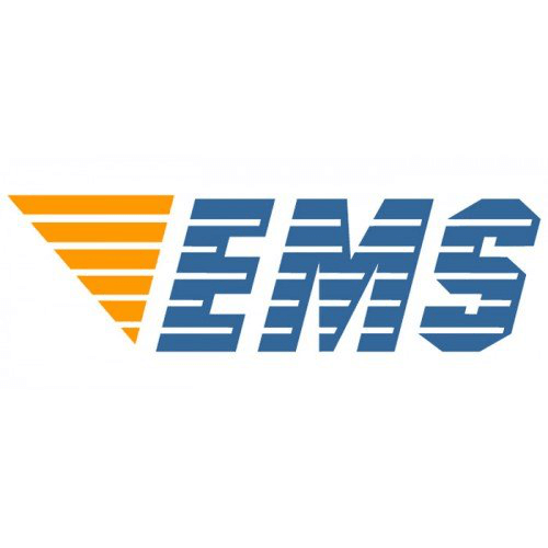EMS logo
